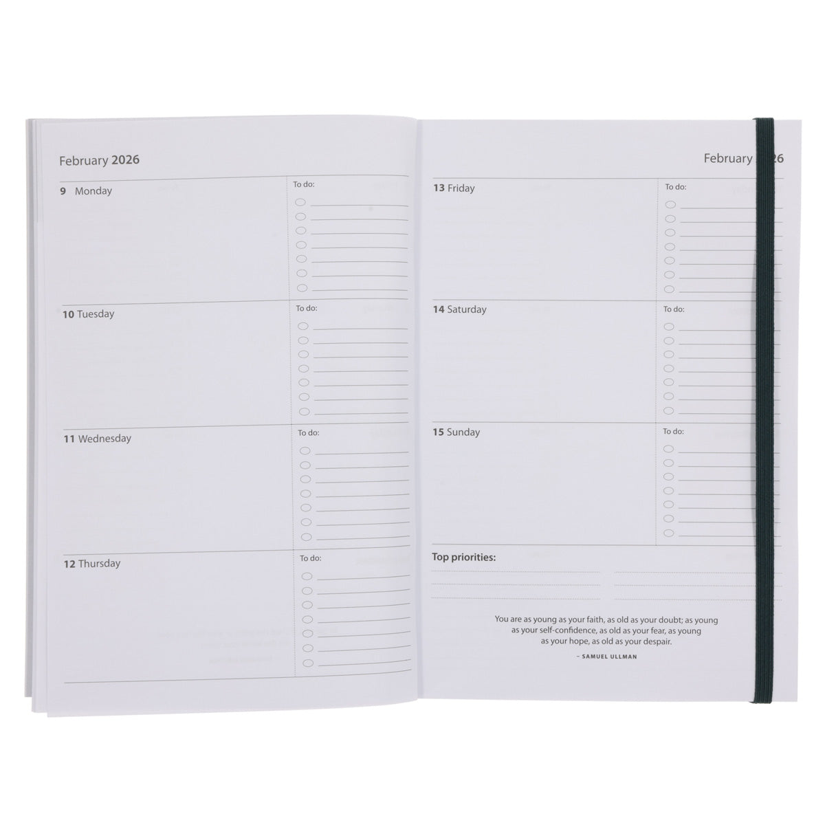 2026 A5 Diary - Daily Planner - Lion - Paperback