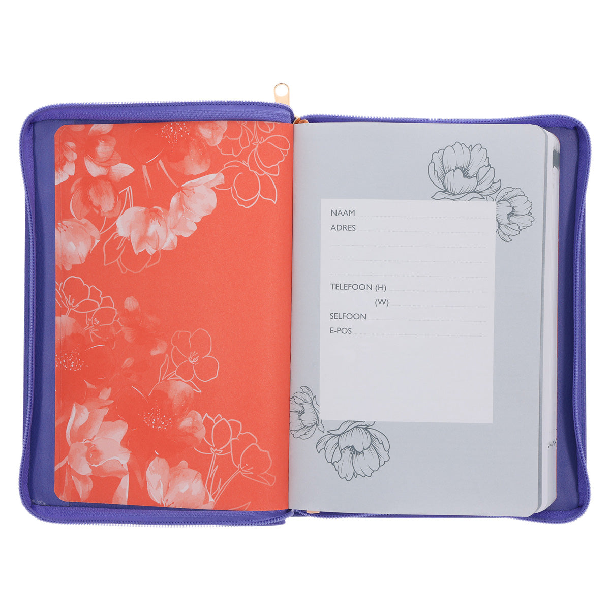 2026 Joyce Meyer A5 Dagboek - Dagbeplanner - Kunsleer met Rits