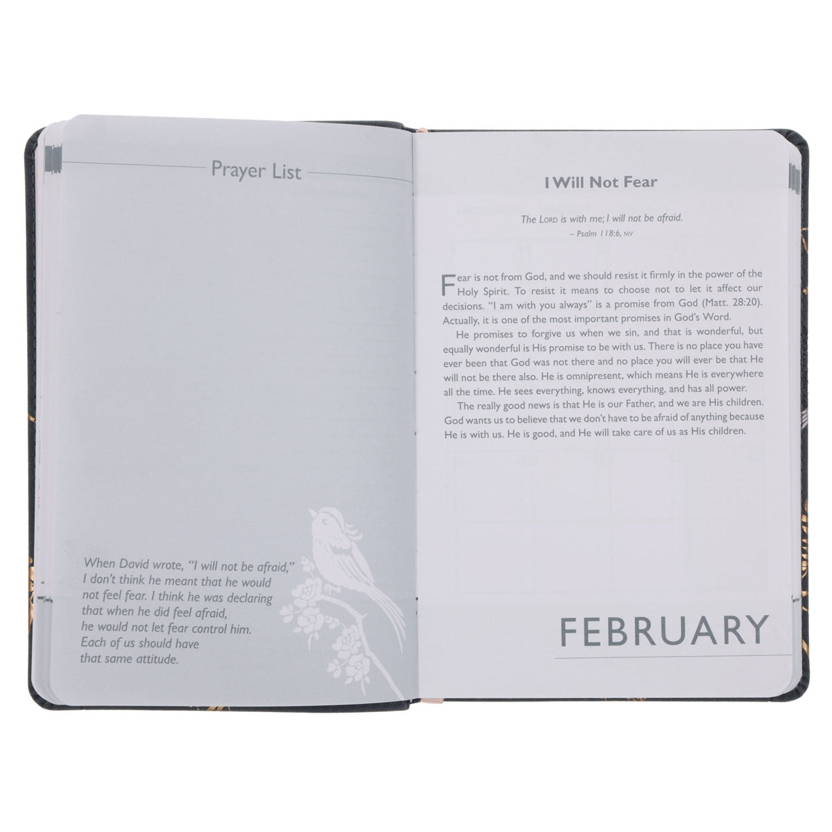 2026 Joyce Meyer Diary - Daily Planner - Imitation Leather