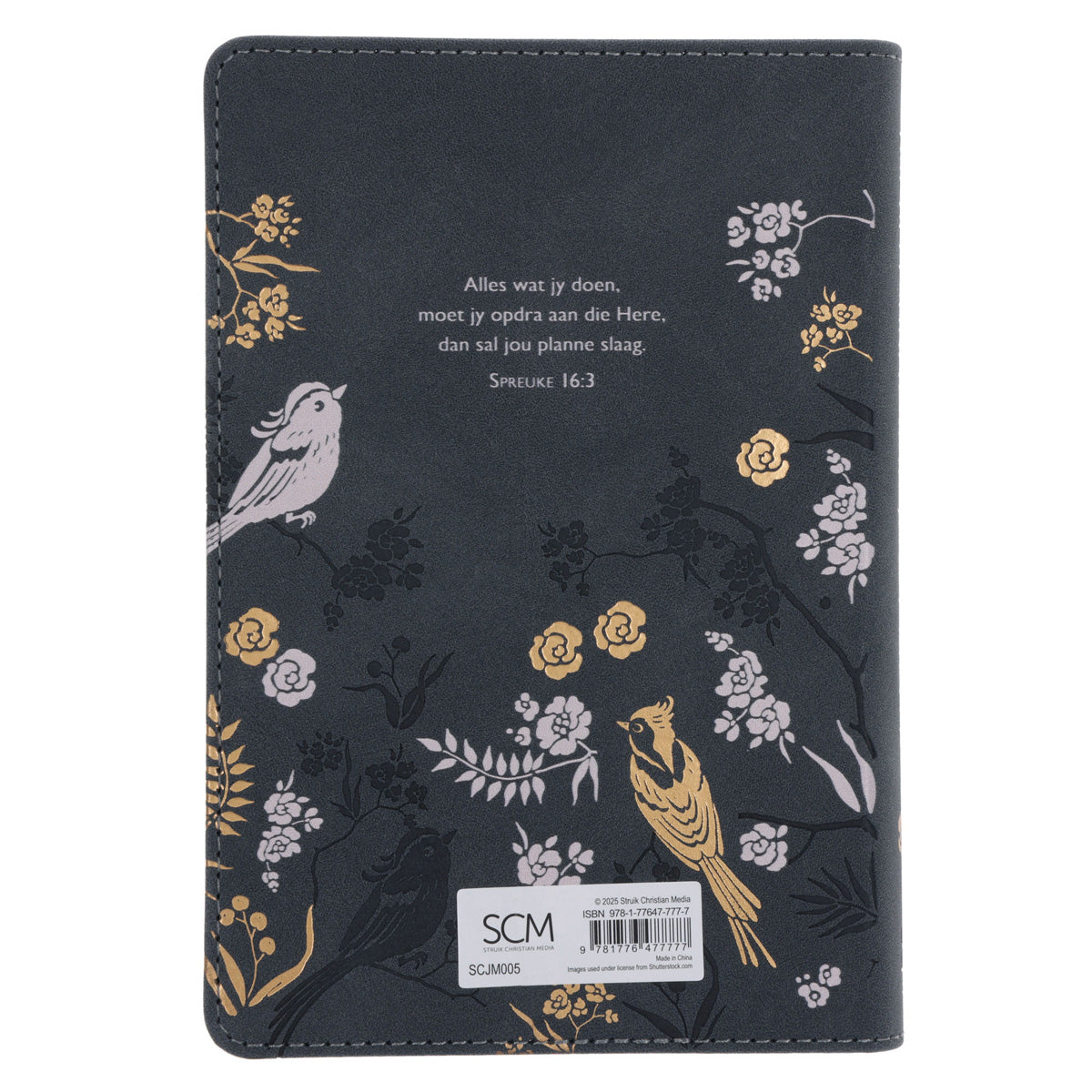 2026 Joyce Meyer Dagboek - Dagbeplanner - Kunsleer