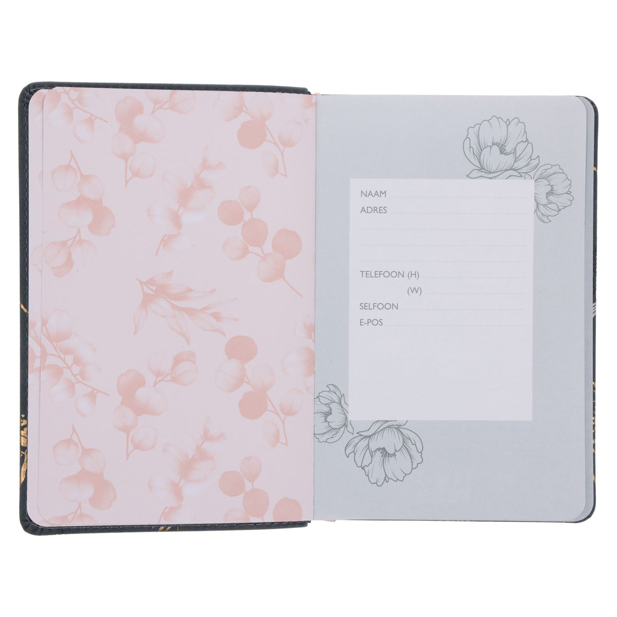 2026 Joyce Meyer Dagboek - Dagbeplanner - Kunsleer