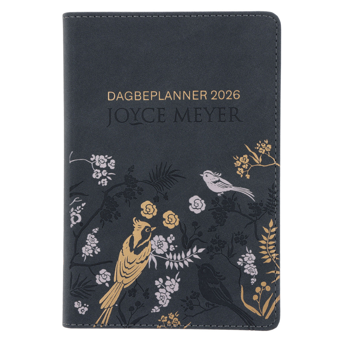 2026 Joyce Meyer Dagboek - Dagbeplanner - Kunsleer