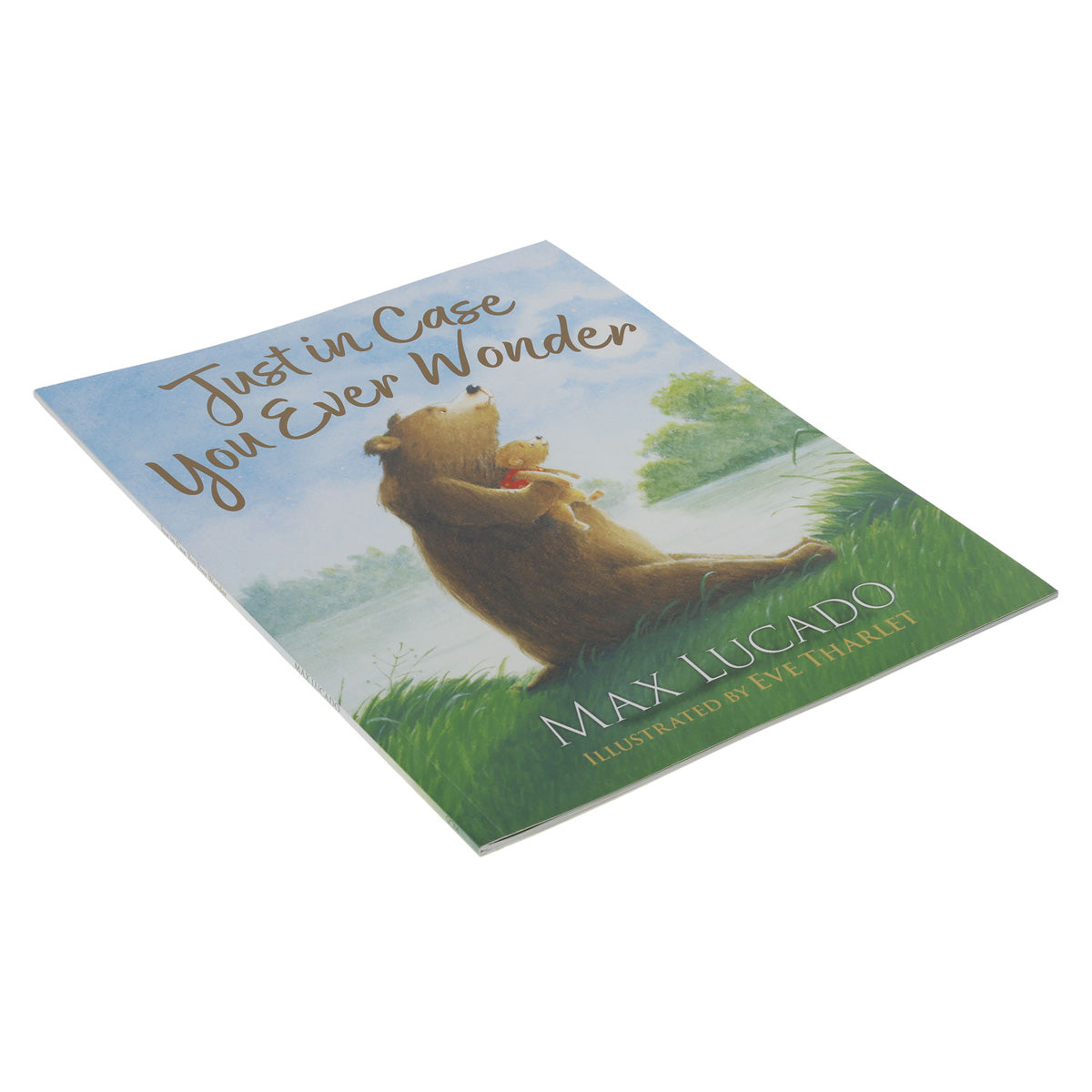 Just in Case You Ever Wonder (Paperback)