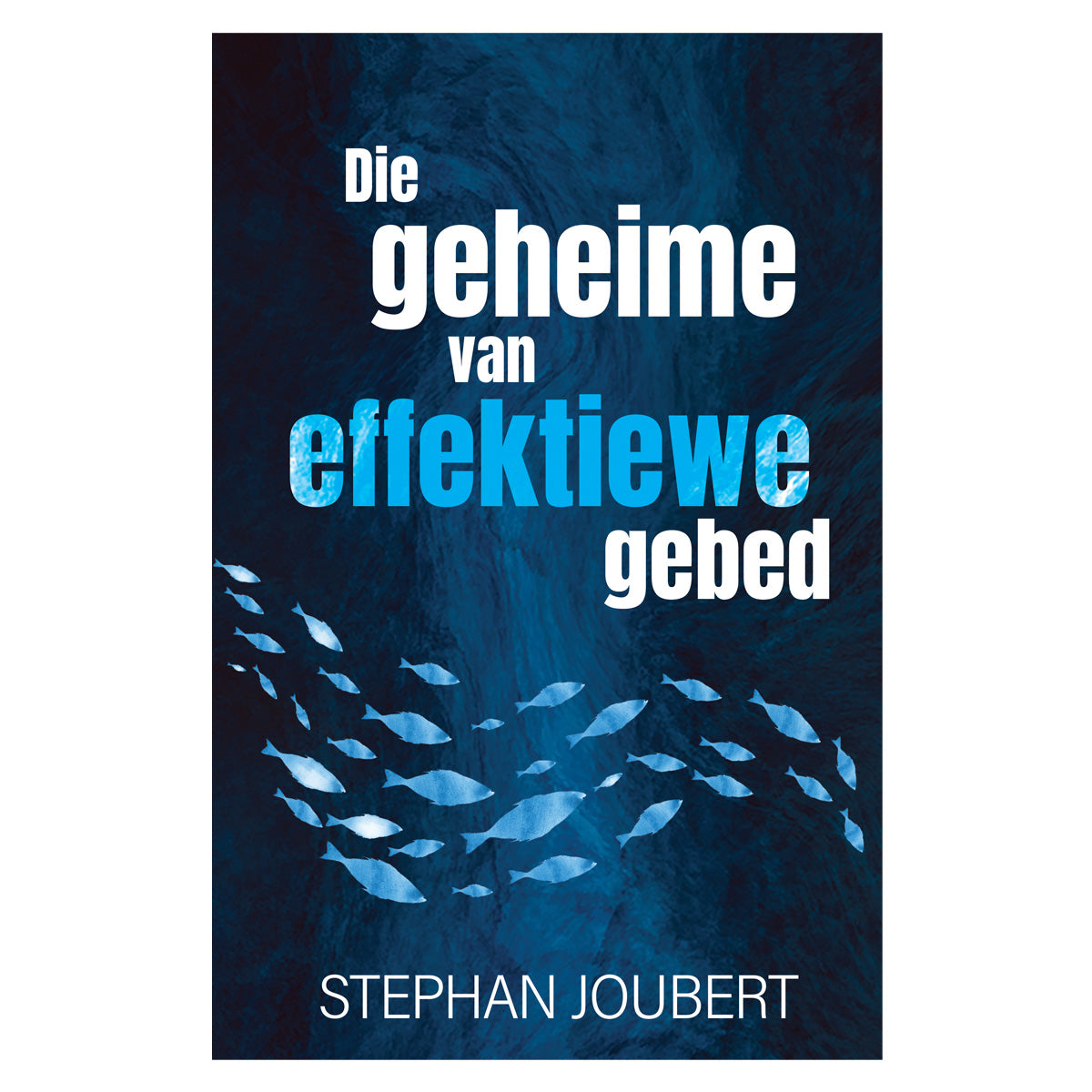 Die Geheime van Effektiewe Gebed (Sagteband)