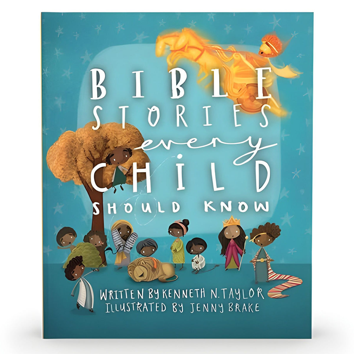 Bible Stories Every Child Should Know (Hardcover)