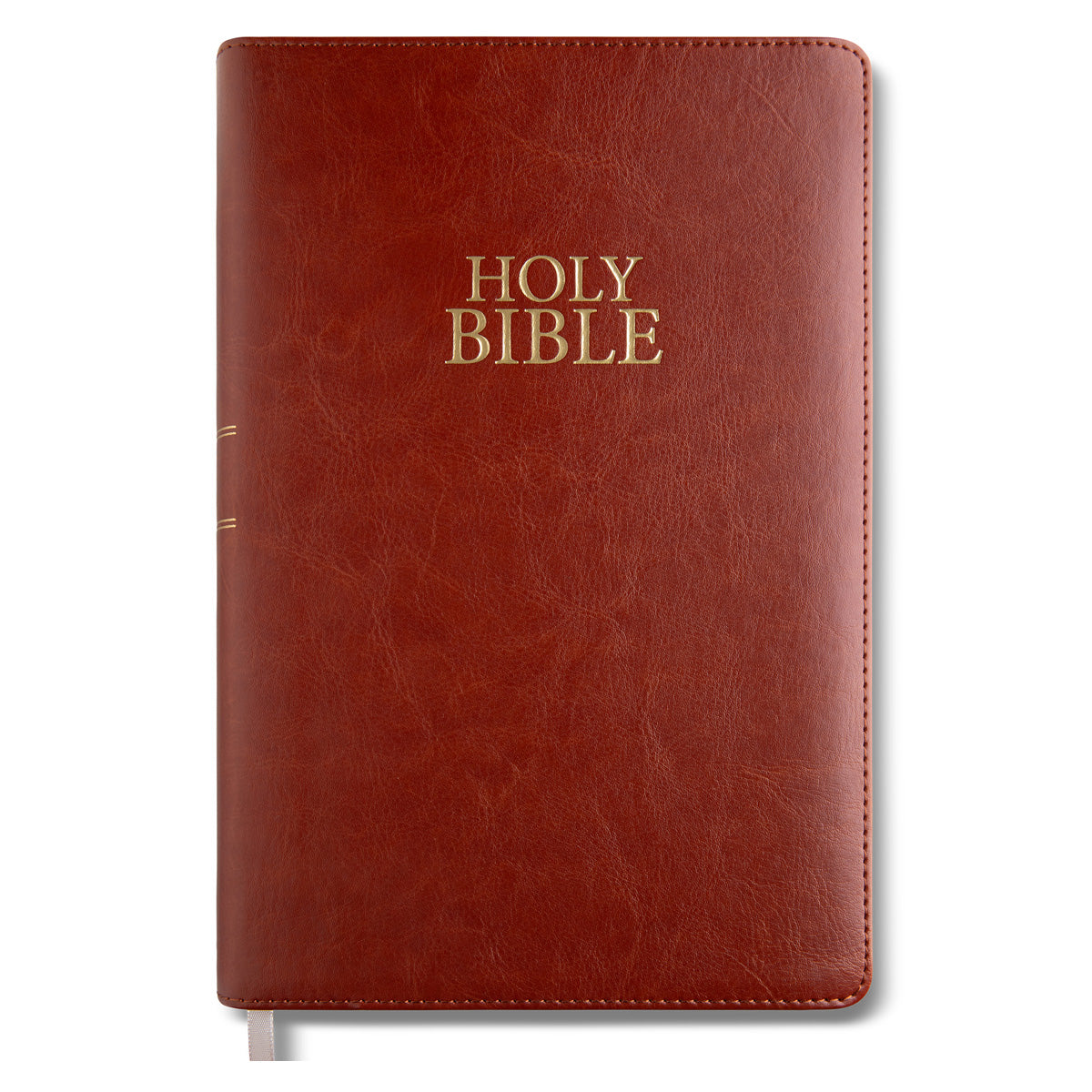 NIV Brown Imitation Leather Holy Bible Giant Print
