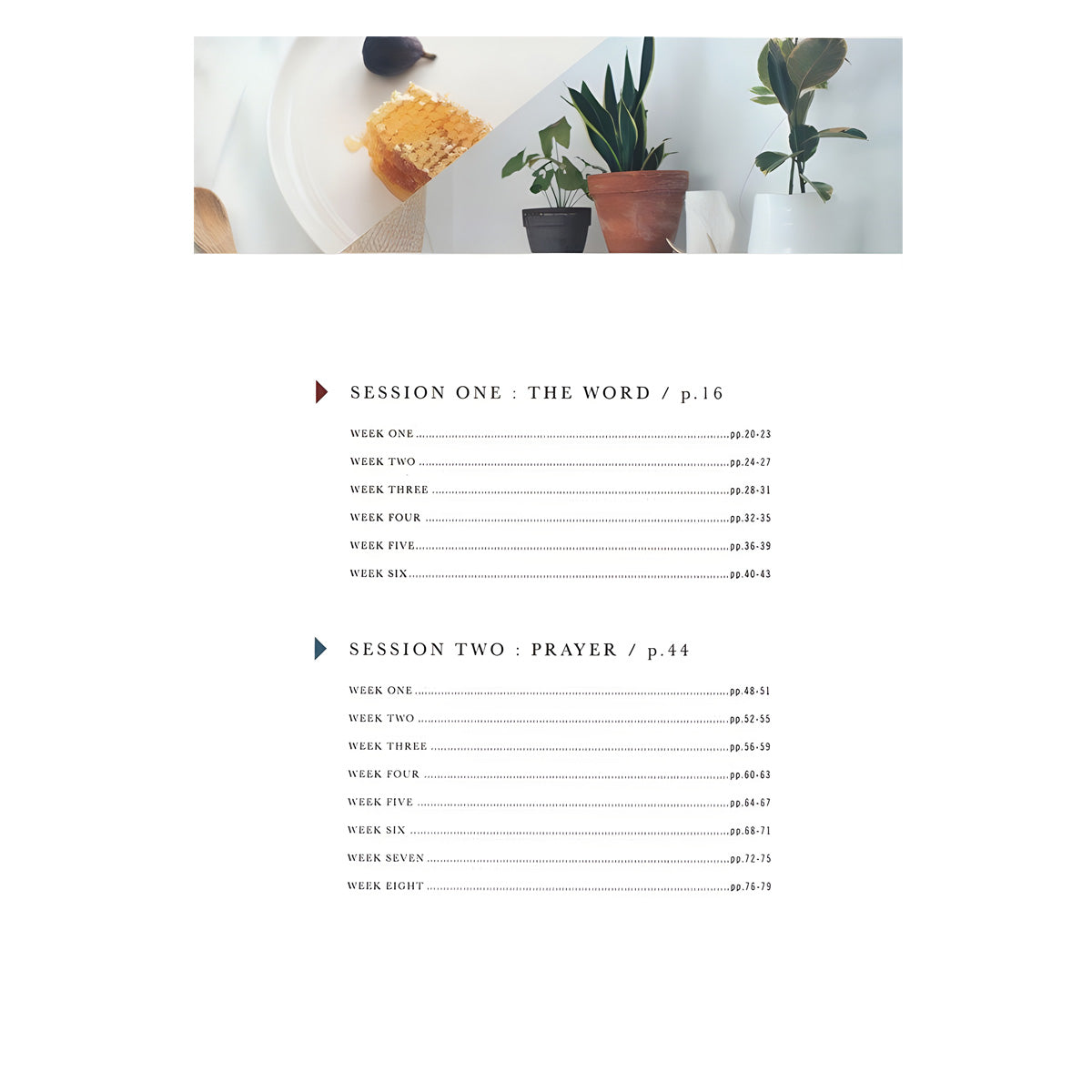 Flourish: A Mentoring Journey - Year One (Spiral-Bound)