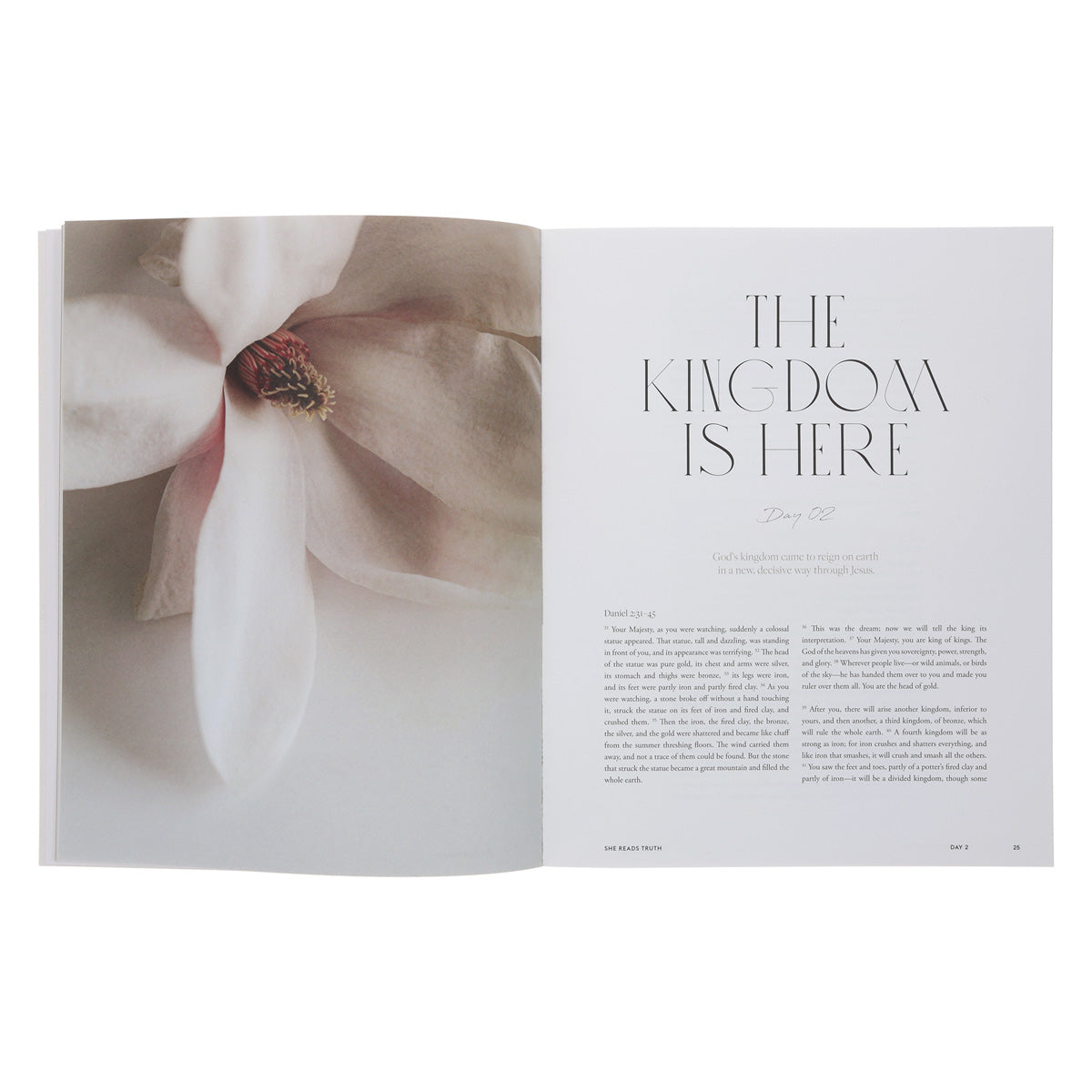 The Kingdom of God - Women's Reading Guide - She Reads Truth (Paperback)