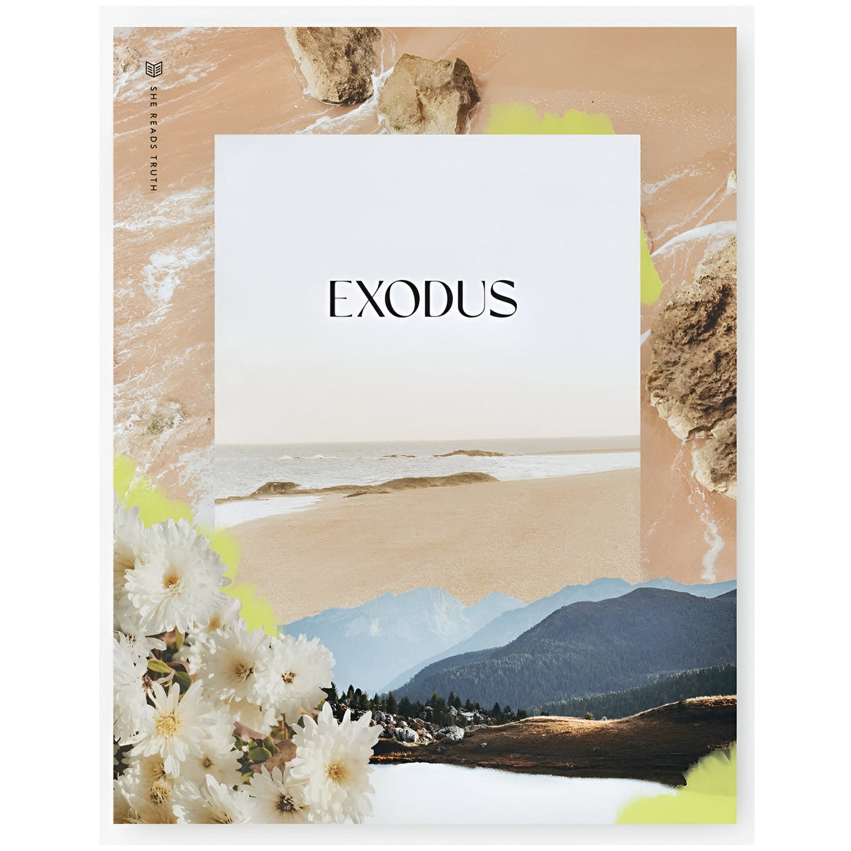 Exodus Women's Reading Guide - She Reads Truth (Paperback)