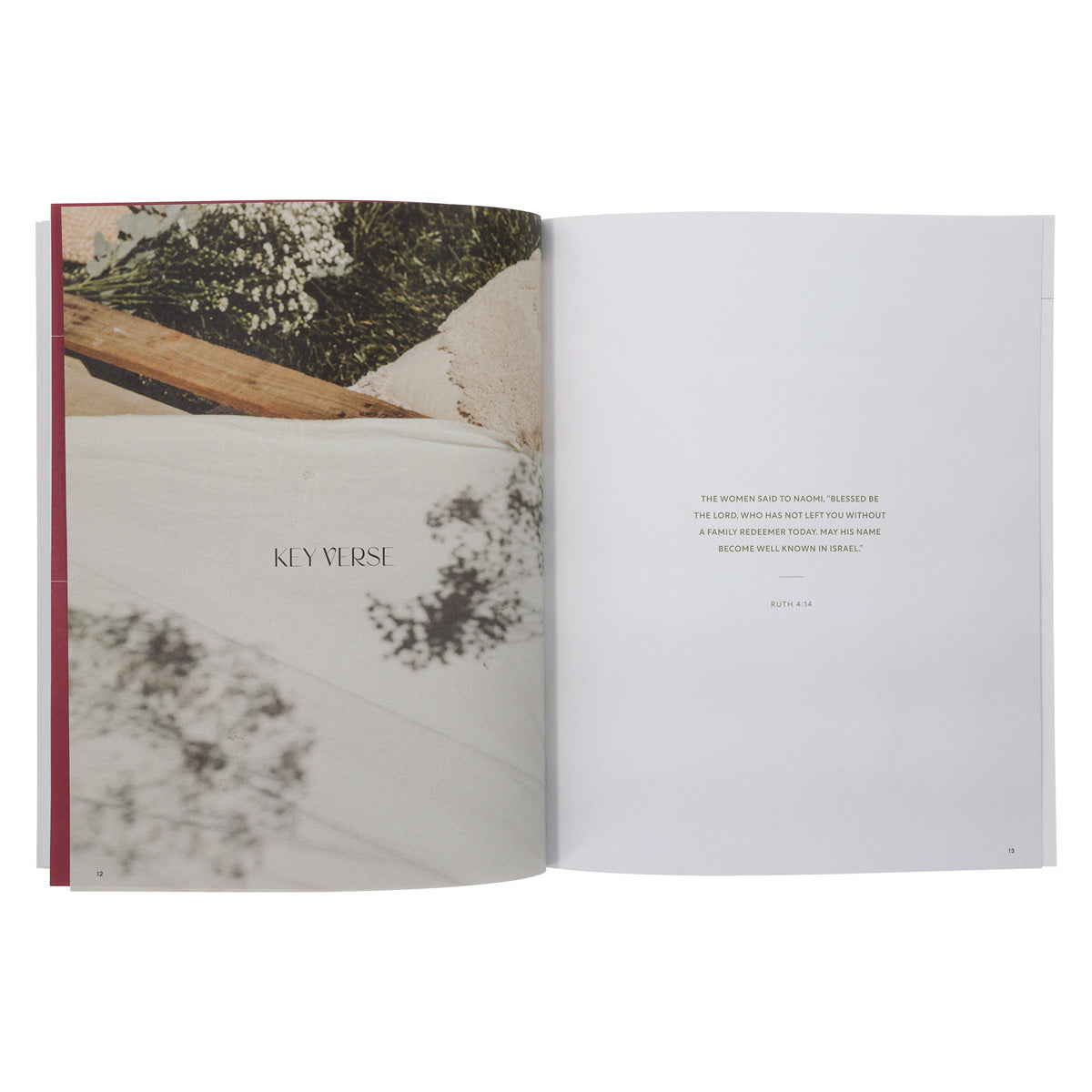 Ruth - Women's Reading Guide - She Reads Truth (Paperback)