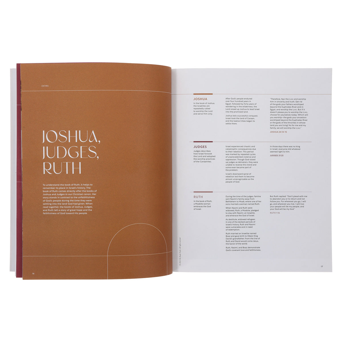 Ruth - Women's Reading Guide - She Reads Truth (Paperback)