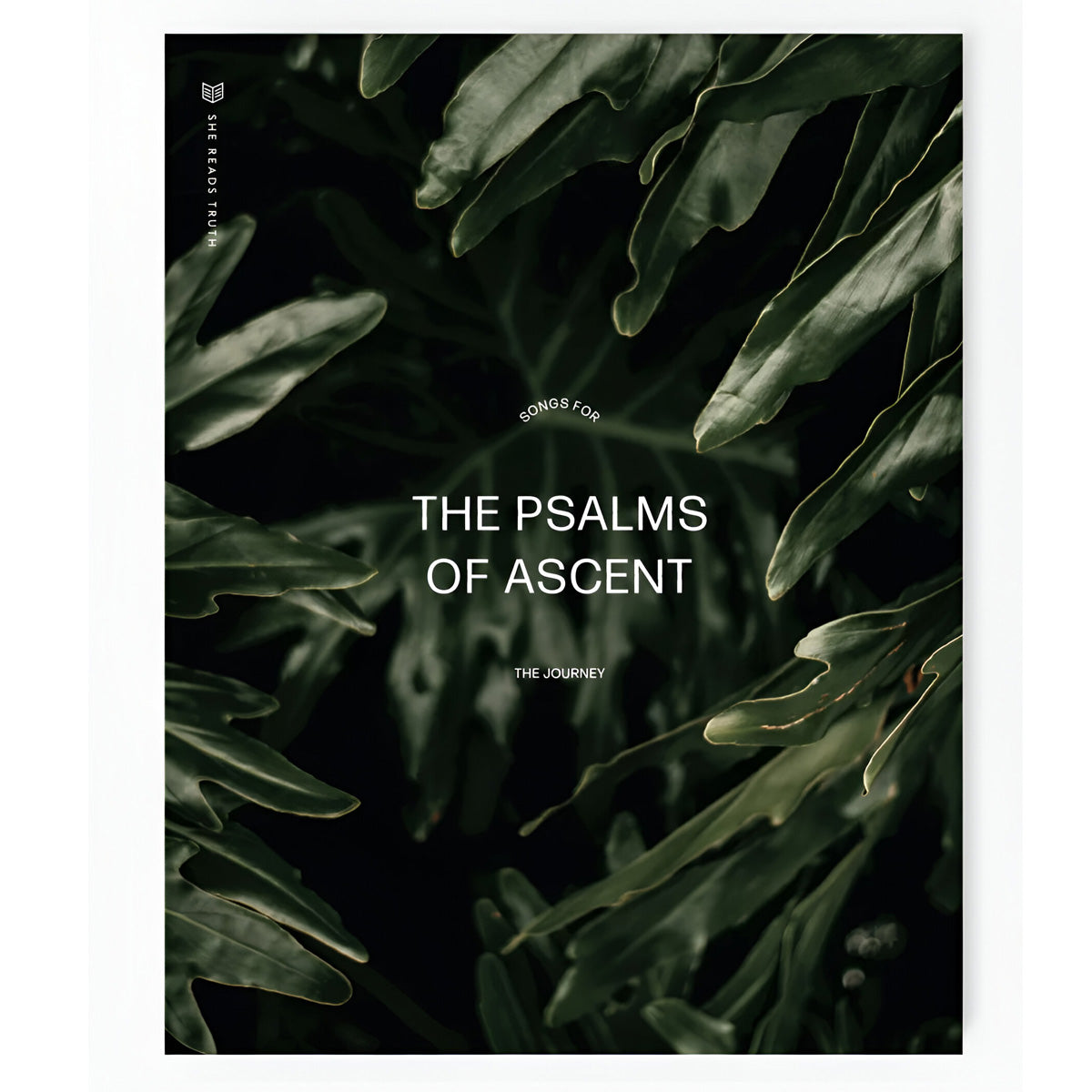 The Psalms of Ascent Women's Reading Guide - She Reads Truth (Paperback)