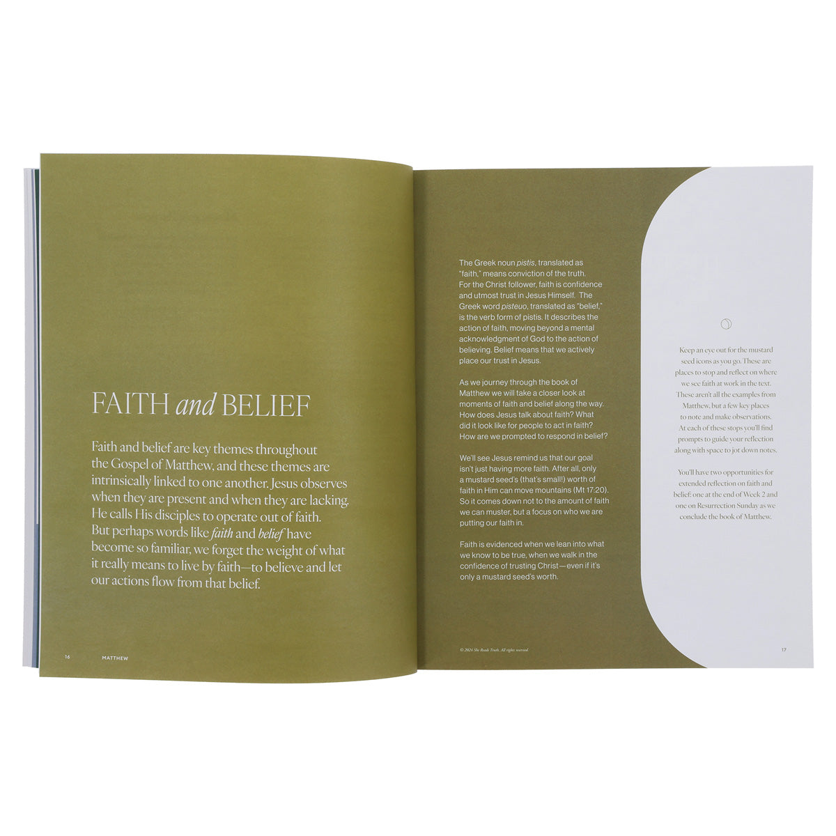 The Gospel of Matthew - Women's Reading Guide - She Reads Truth (Paperback)