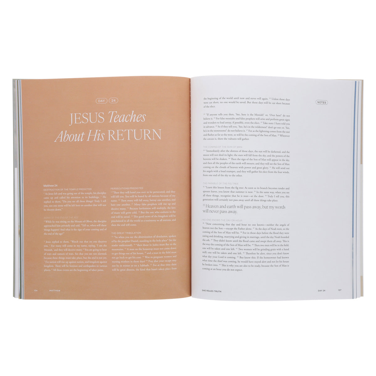 The Gospel of Matthew - Women's Reading Guide - She Reads Truth (Paperback)