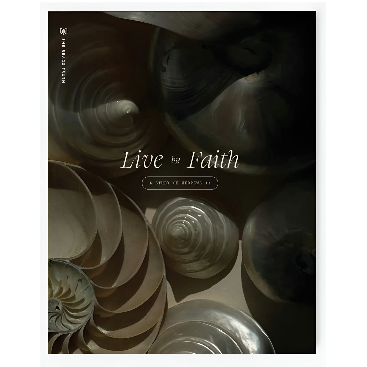 Live by Faith: A Study of Hebrews 11 Women's Reading Guide - She Reads Truth (Paperback)