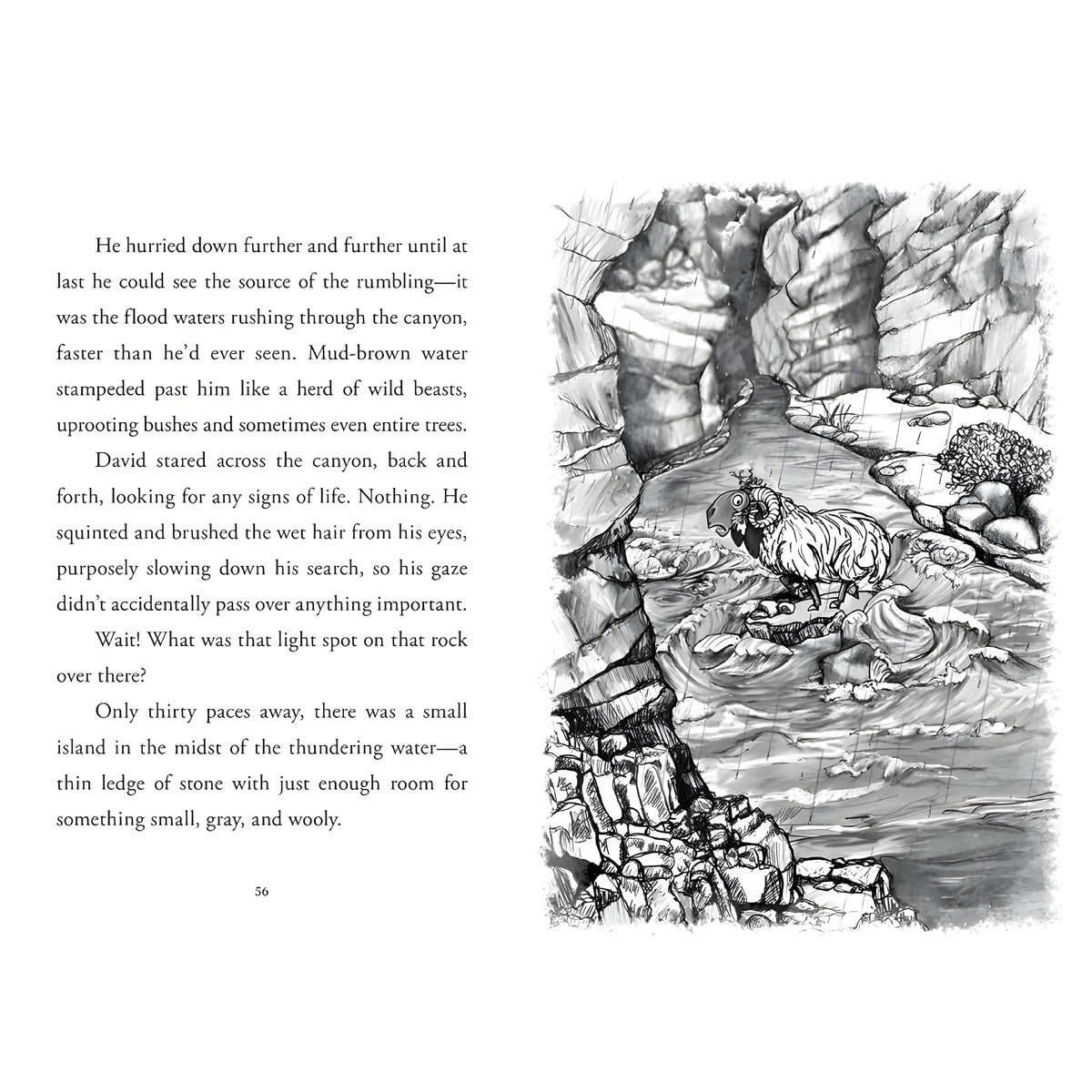 Shepherd - 2 Young David (Paperback)