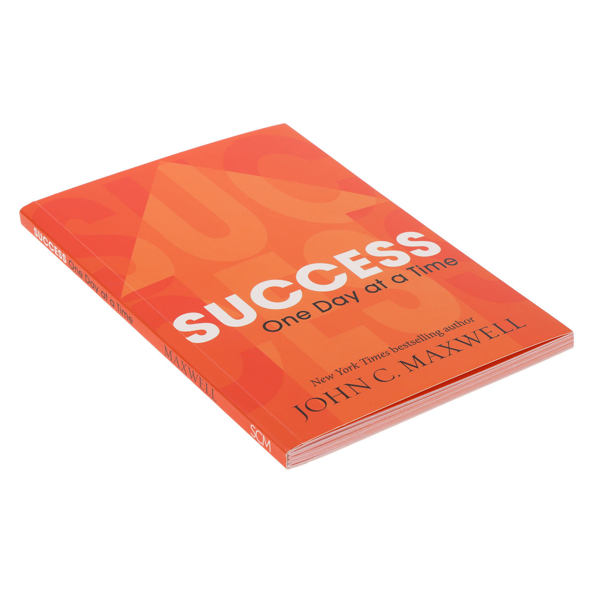 Success One Day at a Time (Paperback)