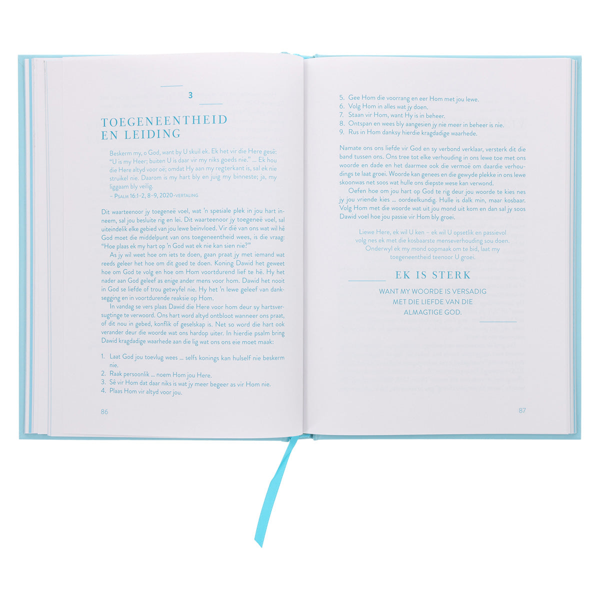 Sterk: Dagstukkies vir 'n Vreeslose en Passievolle Lewe (Hardeband)