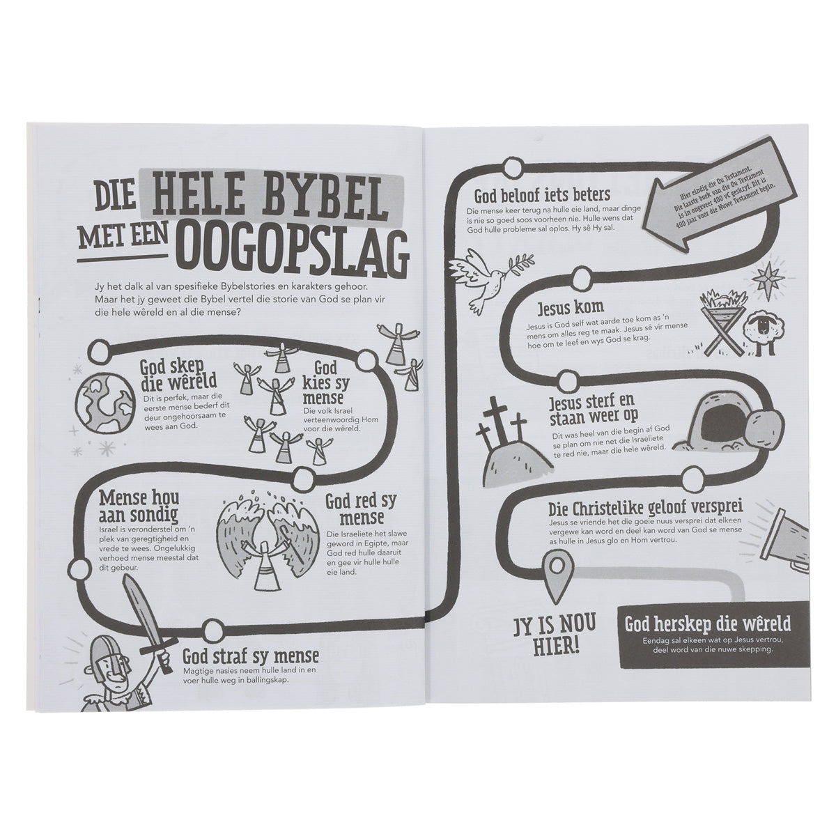 ’n Vinnige Gids tot die Bybel (Sagteband)