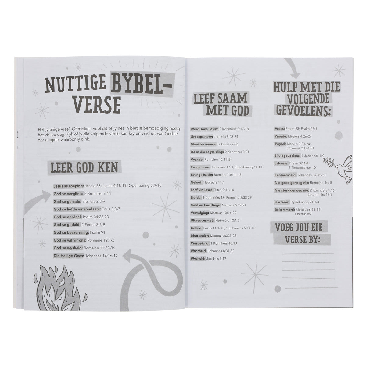 ’n Vinnige Gids tot die Bybel (Sagteband)