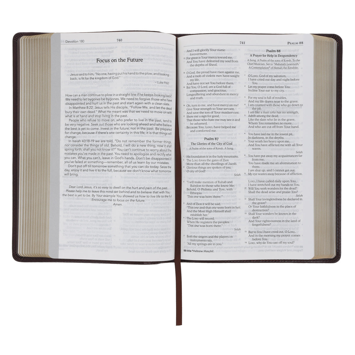 NKJV Brown Faux Leather Flexcover Bible with Grassroots Reflections
