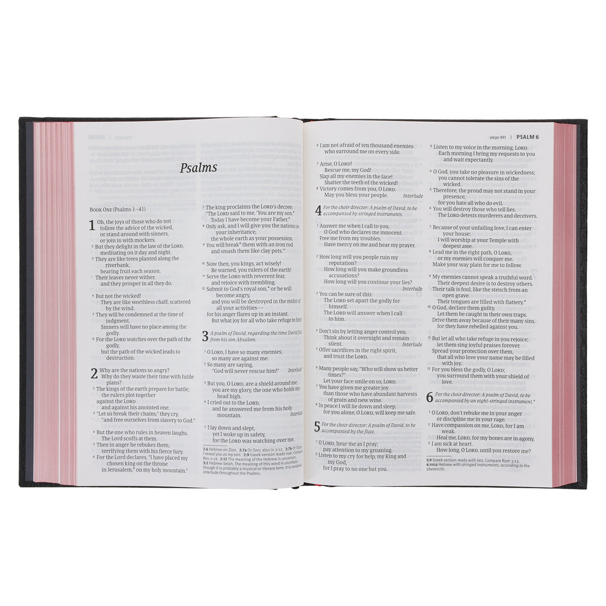 NLT Black Hardcover Bible Large Print