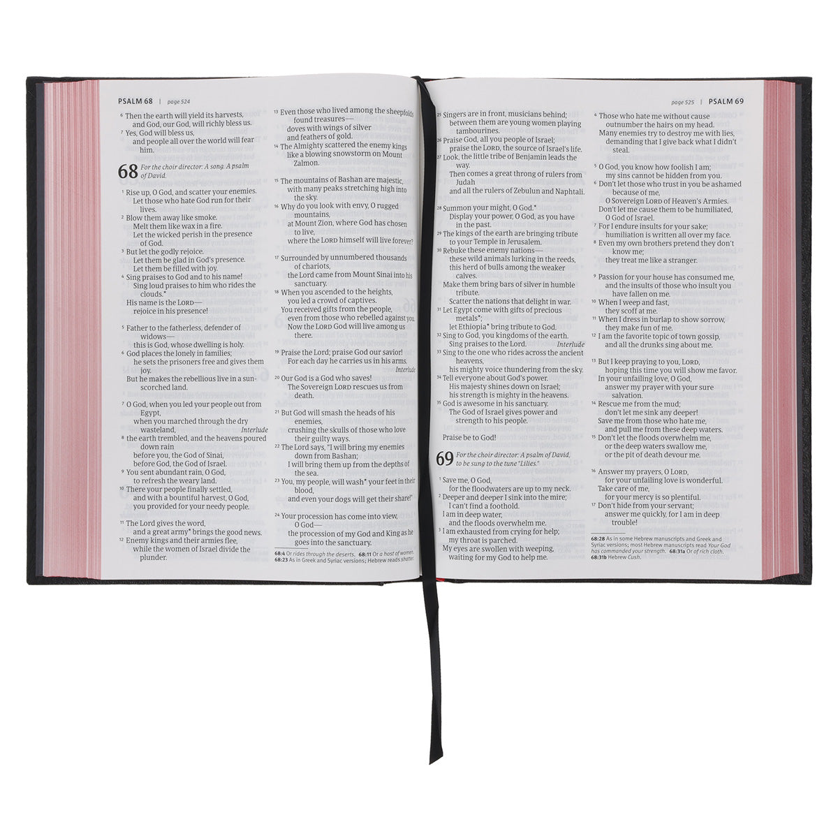 NLT Black Hardcover Bible Large Print