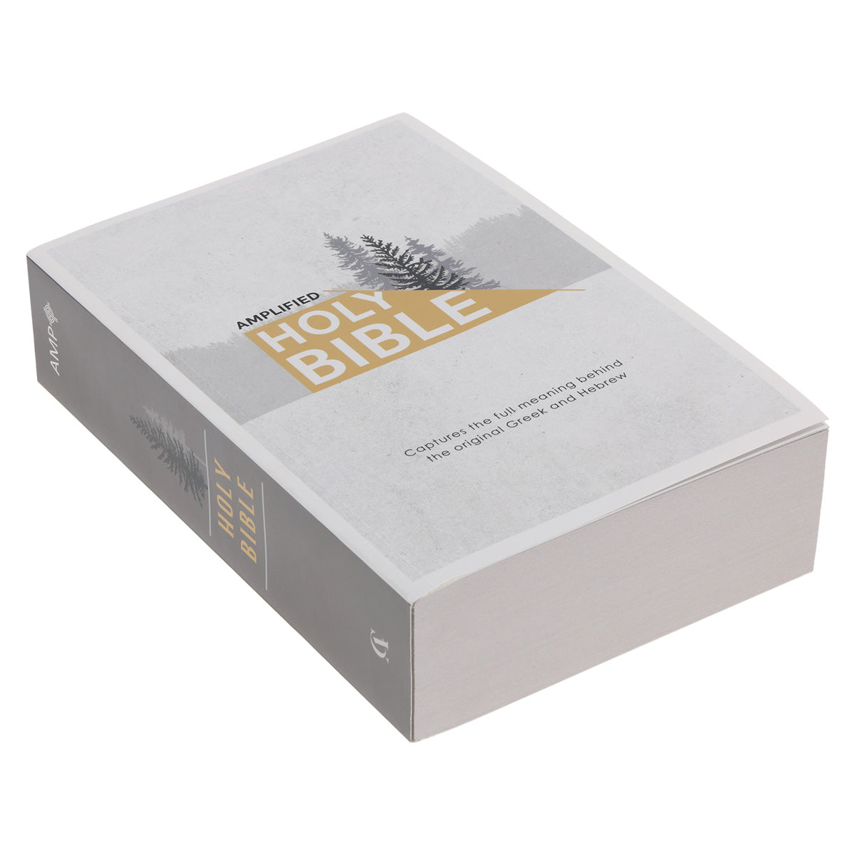Amplified Grey Paperback Economy Edition Bible
