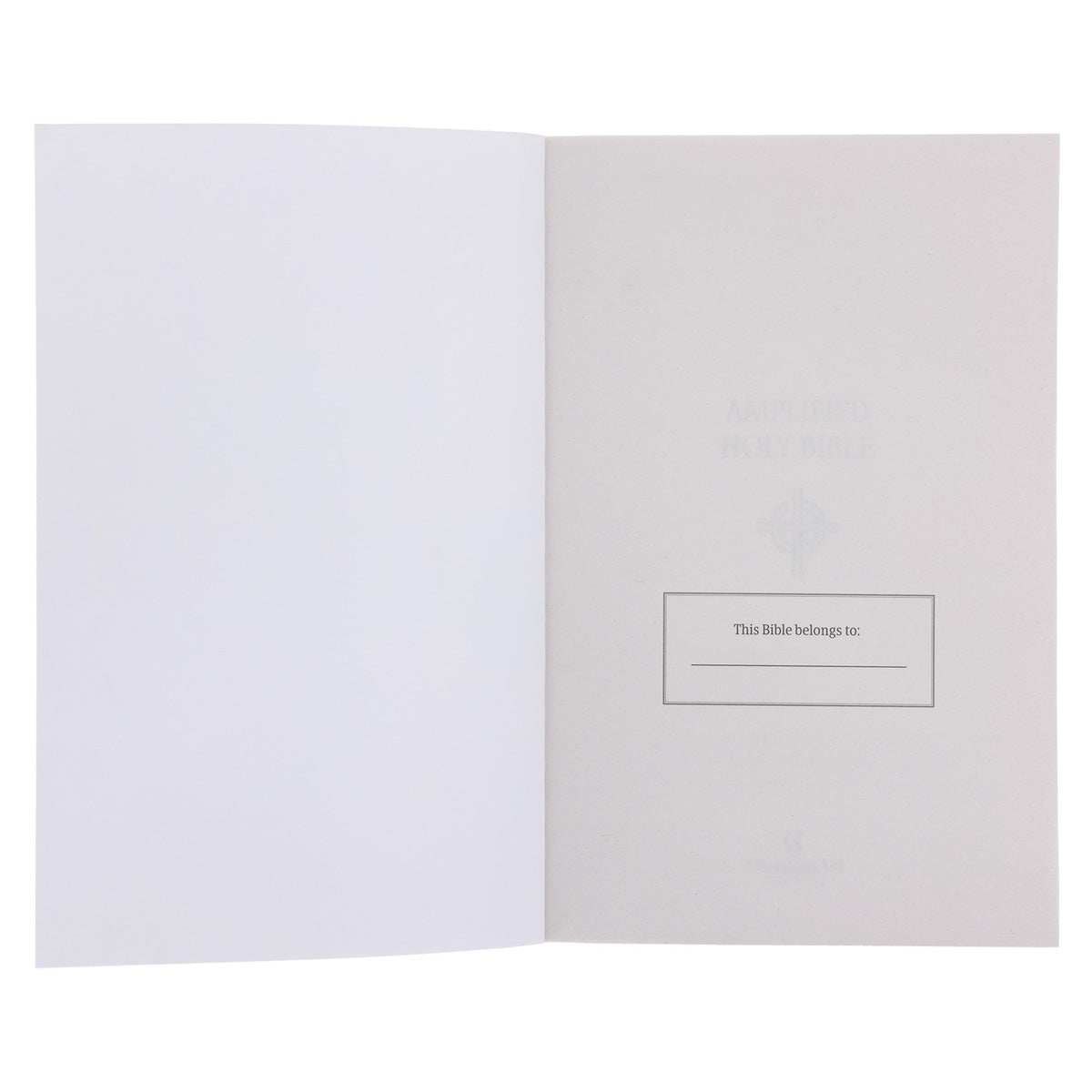 Amplified Grey Paperback Economy Edition Bible