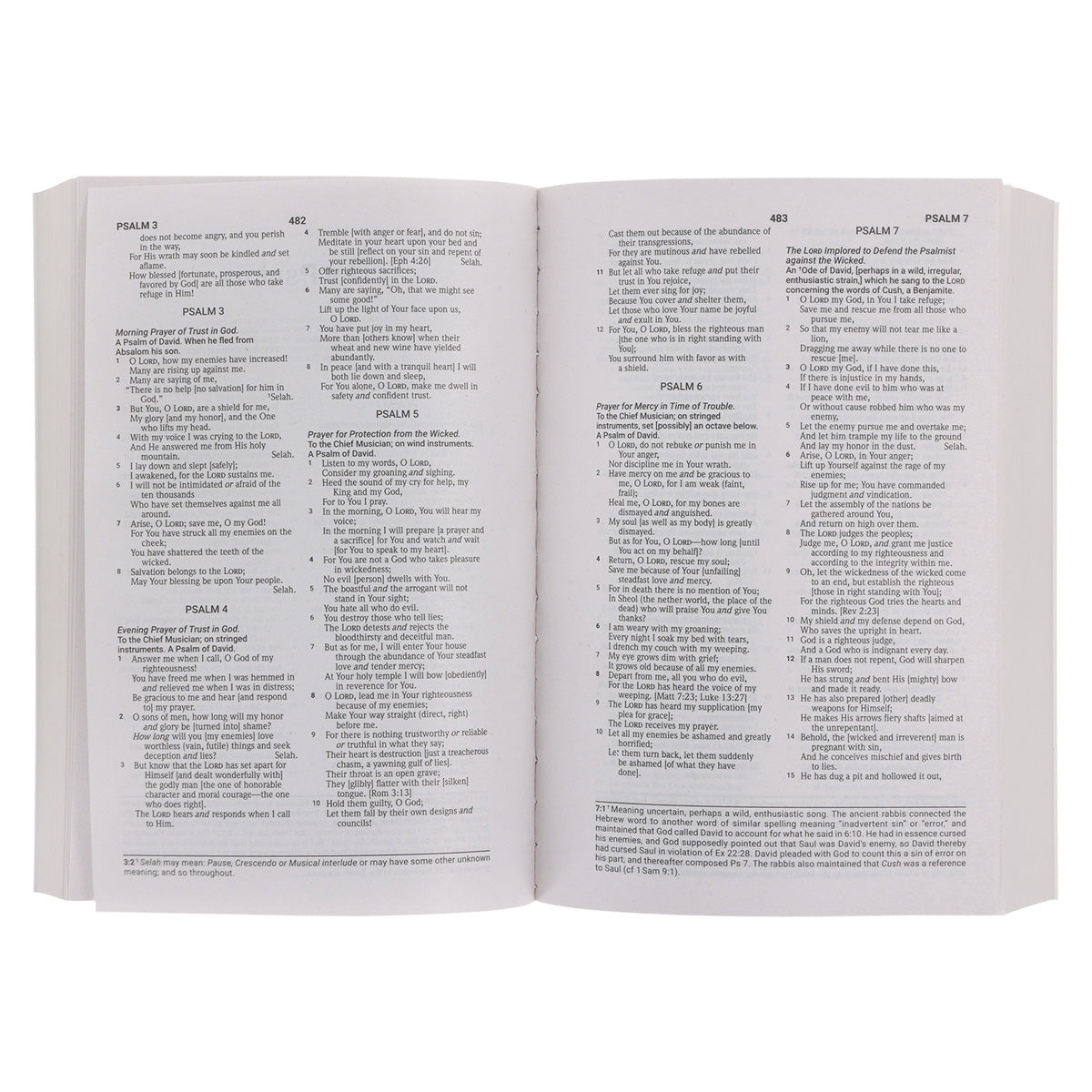 Amplified Grey Paperback Economy Edition Bible