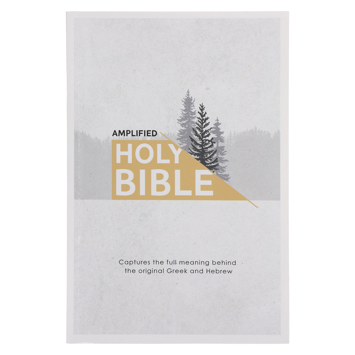 Amplified Grey Paperback Economy Edition Bible