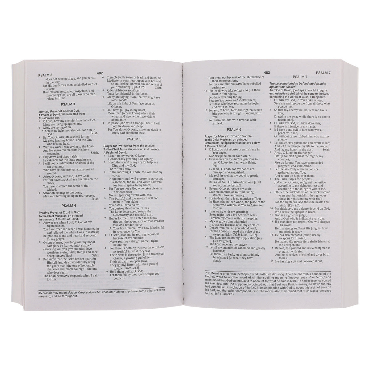 Amplified Wildflowers Paperback Economy Edition Bible