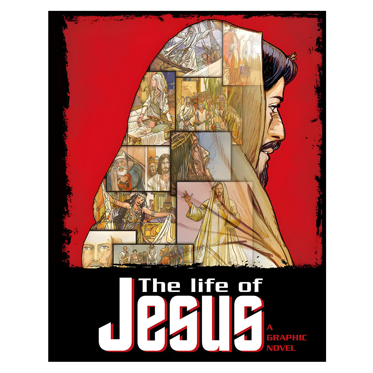 The Life Of Jesus: A Graphic Novel (Paperback)