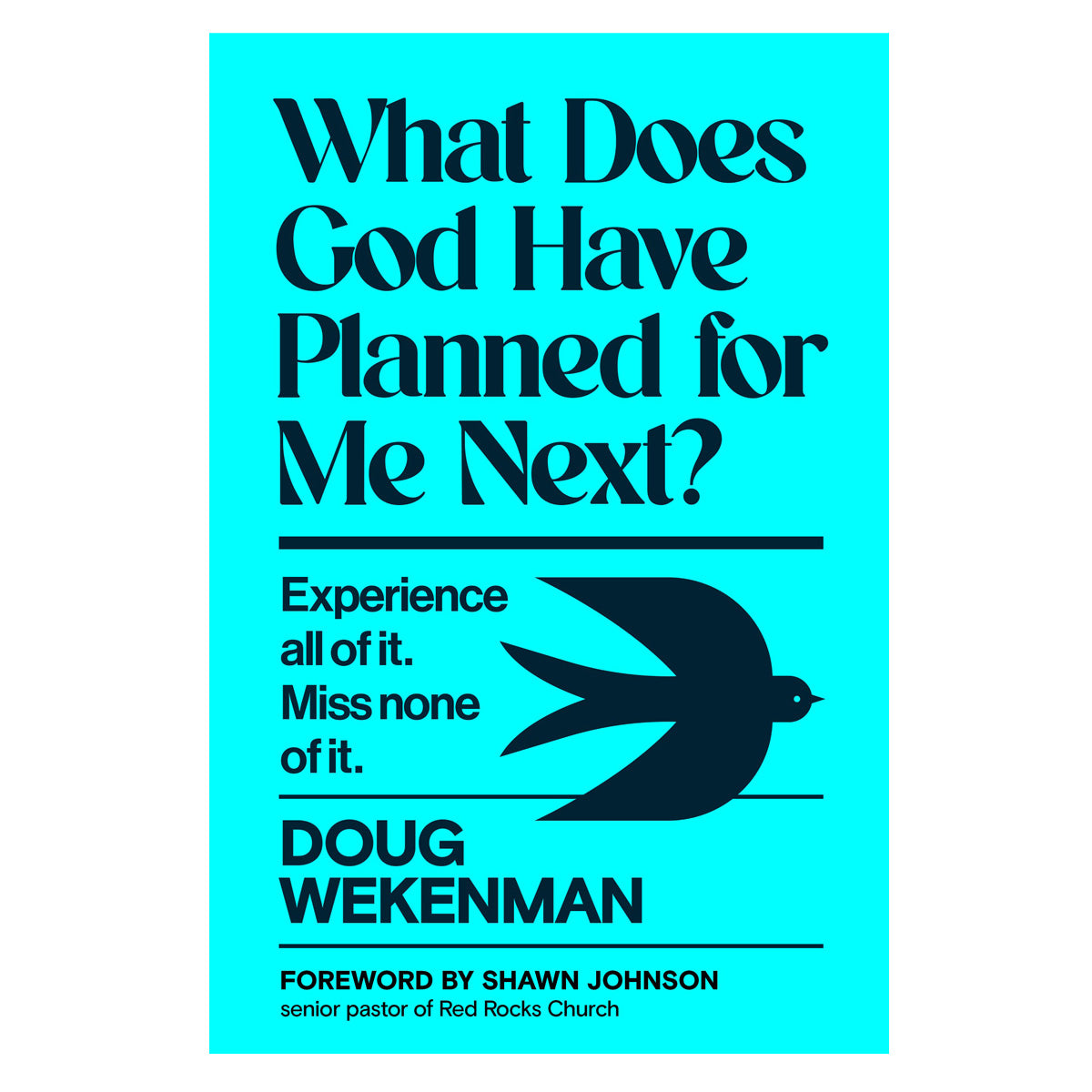 What Does God Have Planned for Me Next?: Experience All of It. Miss None of It (Hardcover)