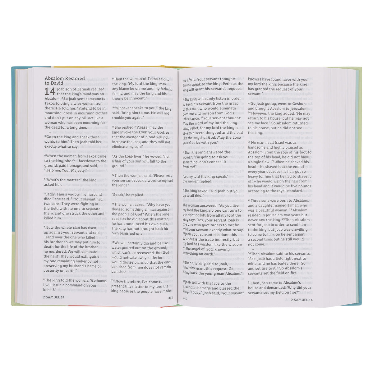 CSB Hardcover Grace Dyslexia Friendly Bible for Kids