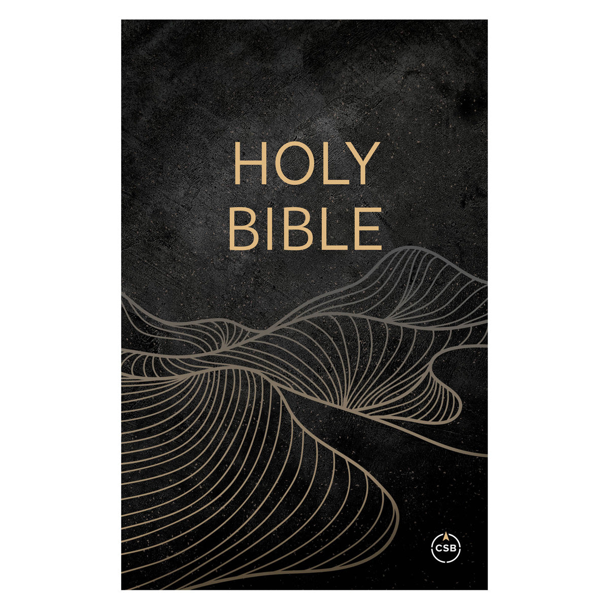 CSB Black Paperback Outreach Bible