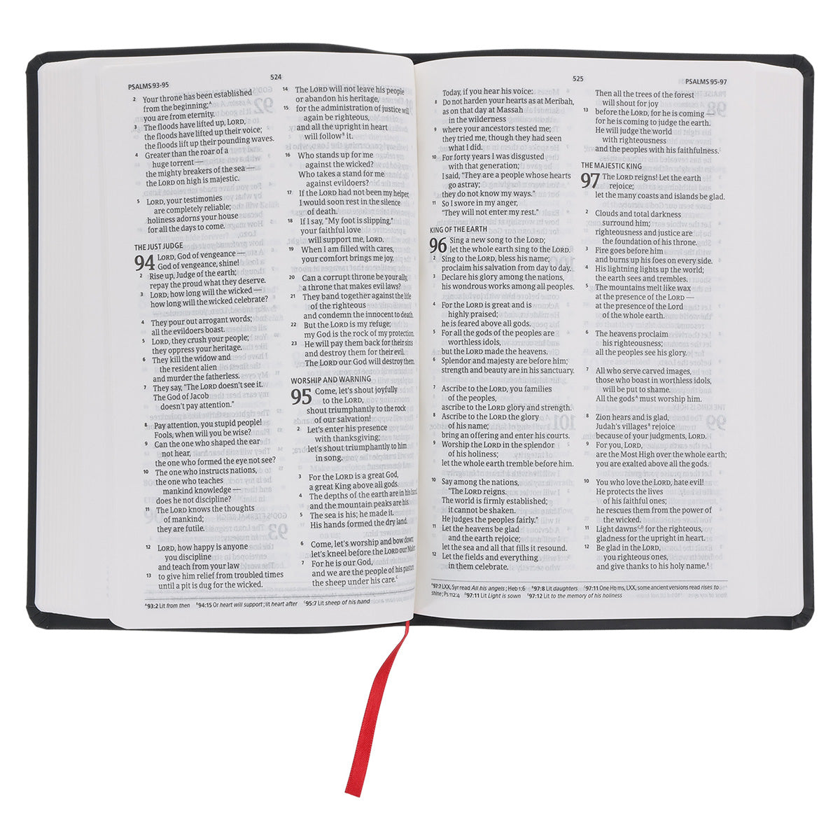 CSB Black Imitation Leather Standard Bible