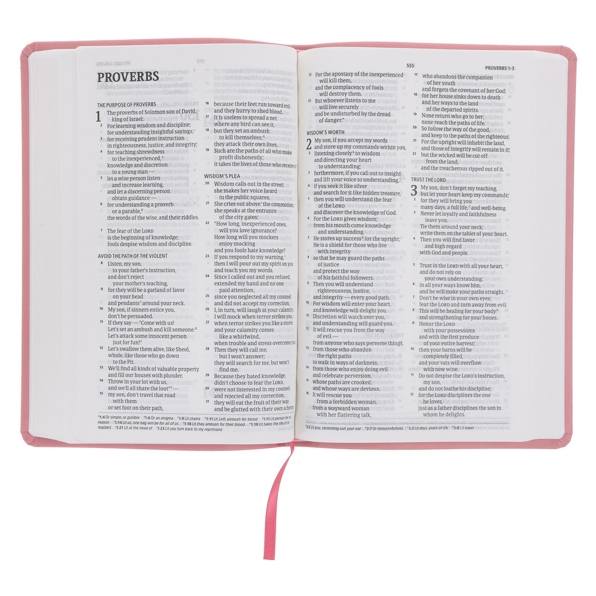 CSB Pink Imitation Leather Standard Bible
