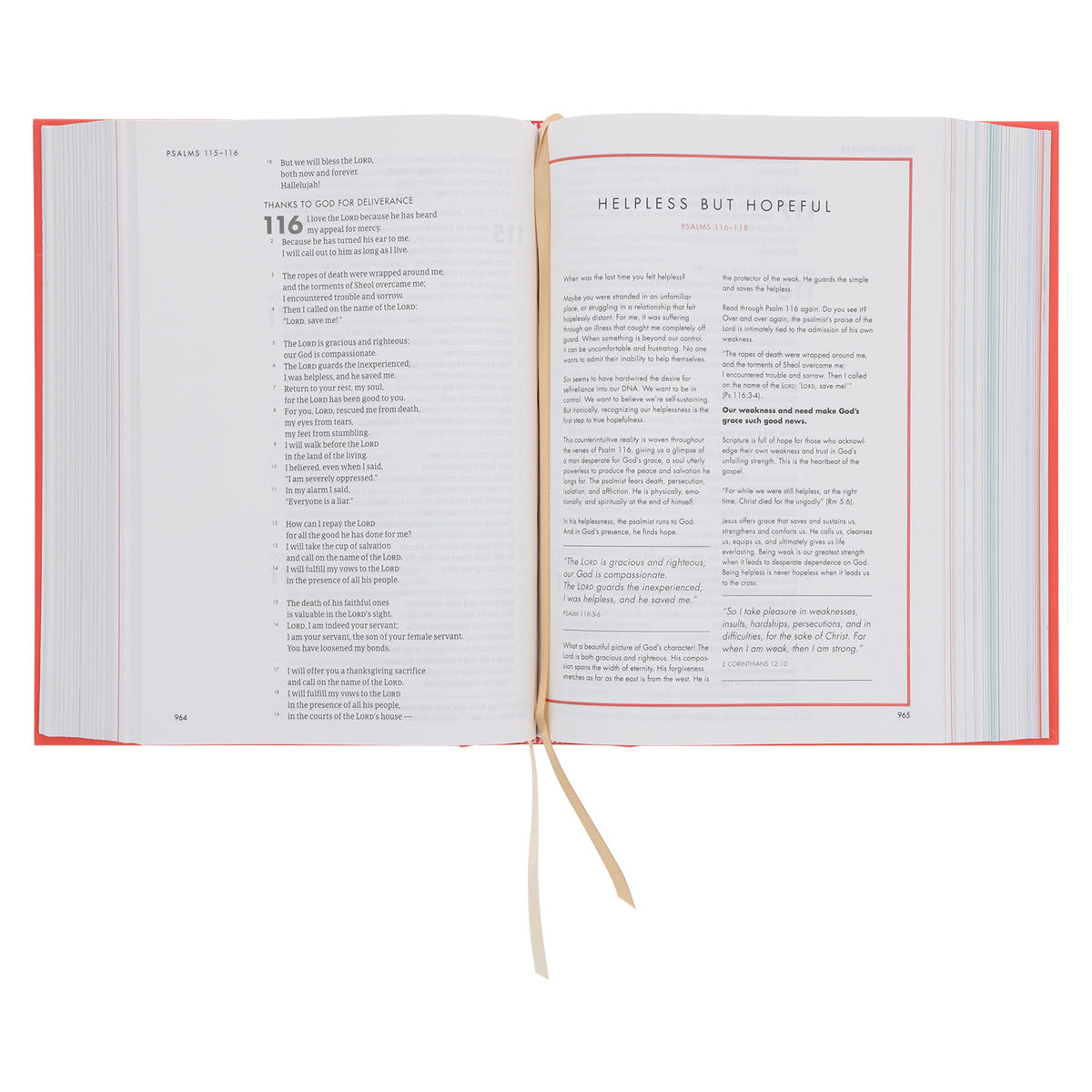 CSB Coral Hardcover She Reads Truth Bible