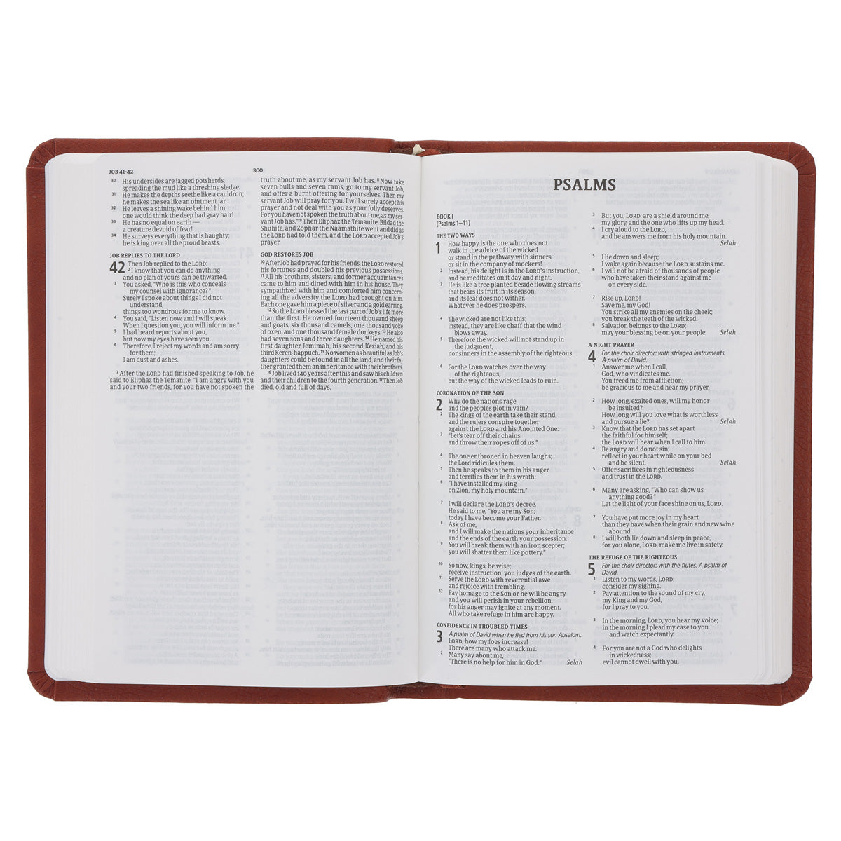 CSB Brown Imitation Leather Value Edition Compact Bible