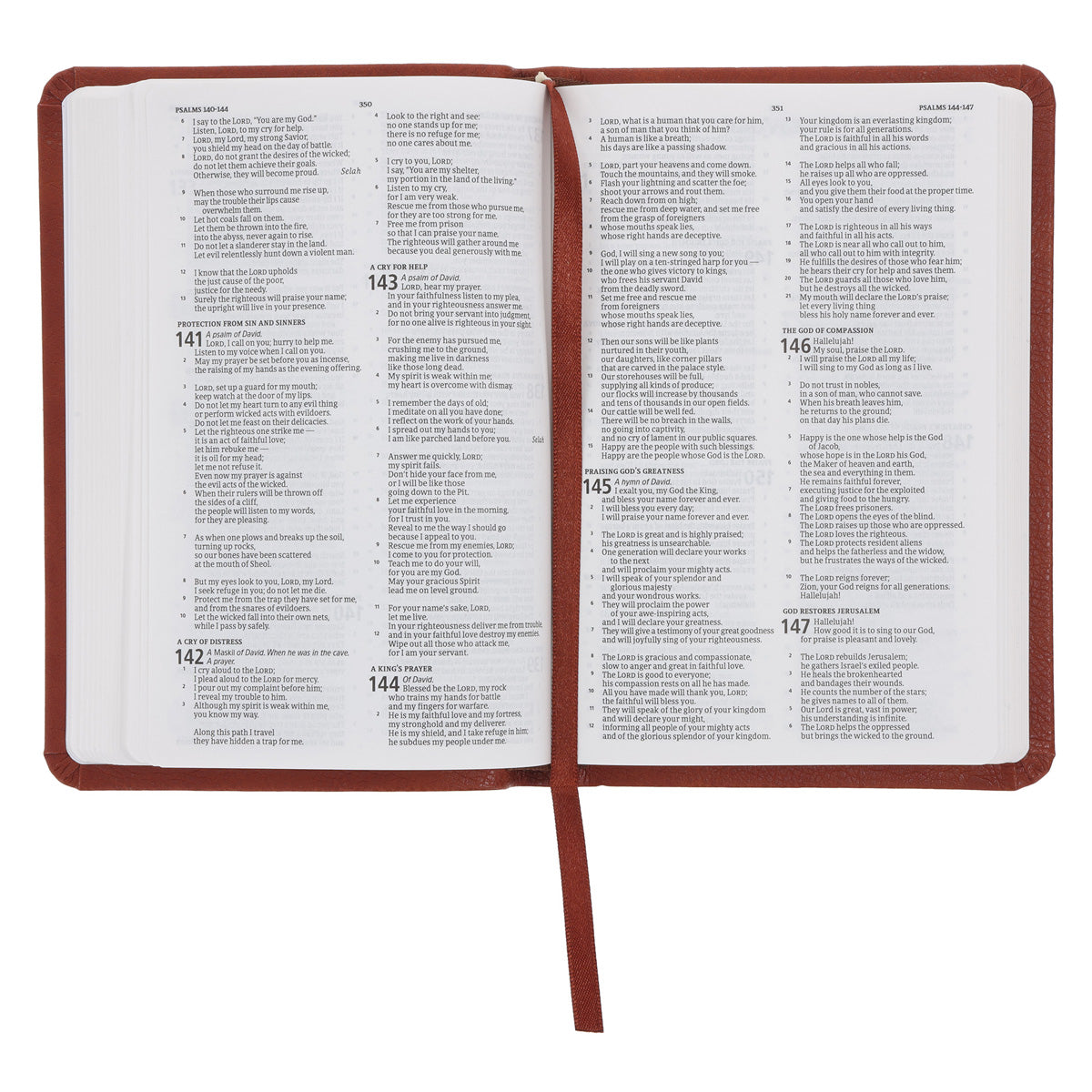 CSB Brown Imitation Leather Value Edition Compact Bible