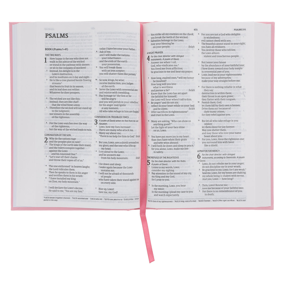 CSB Pink Hardcover Standard Bible
