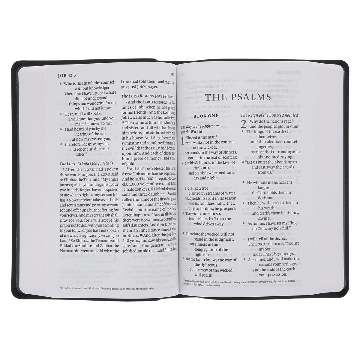 ESV Black Imitation Leather Value Personal Size Bible Giant Print