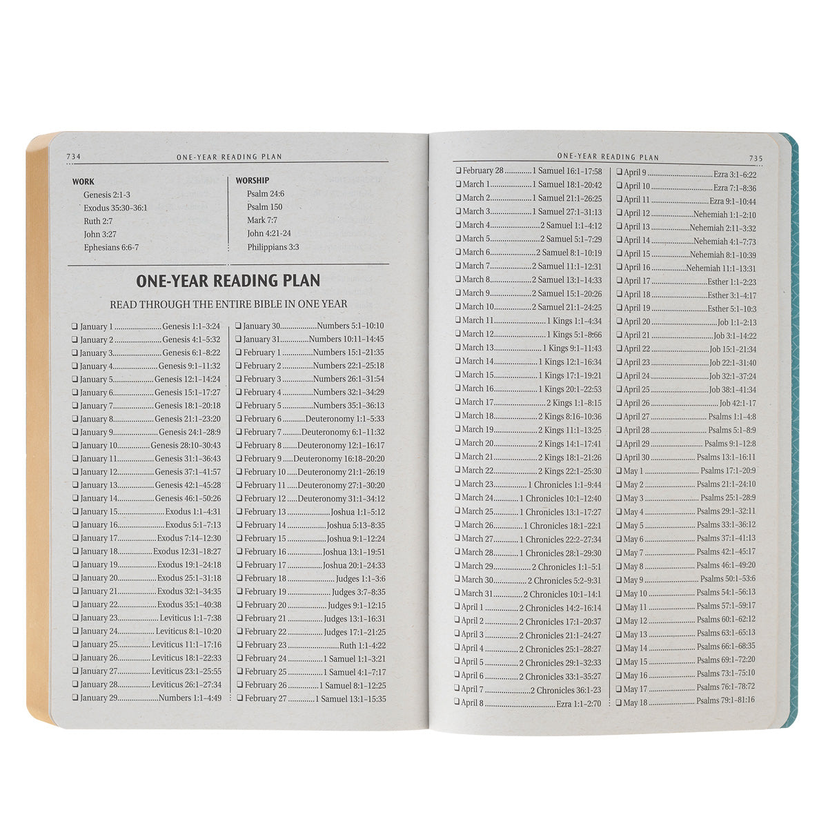KJV Teal Faux Leather Flexcover Gift Edition Bible