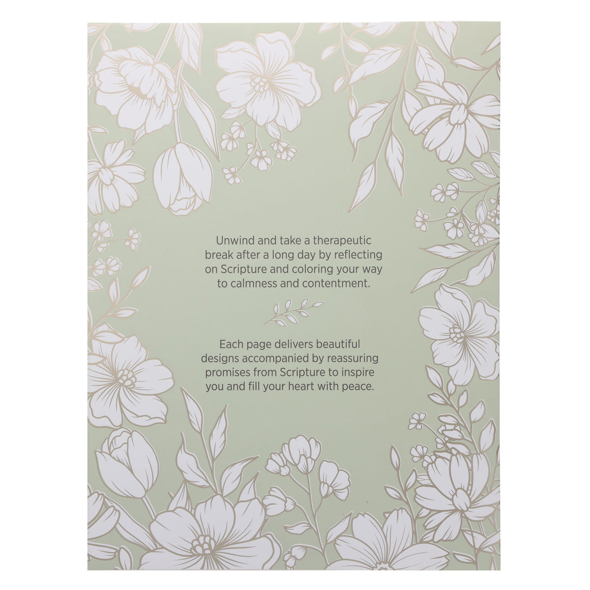 Every Good and Perfect Gift Is From Above Coloring Book (Paperback)