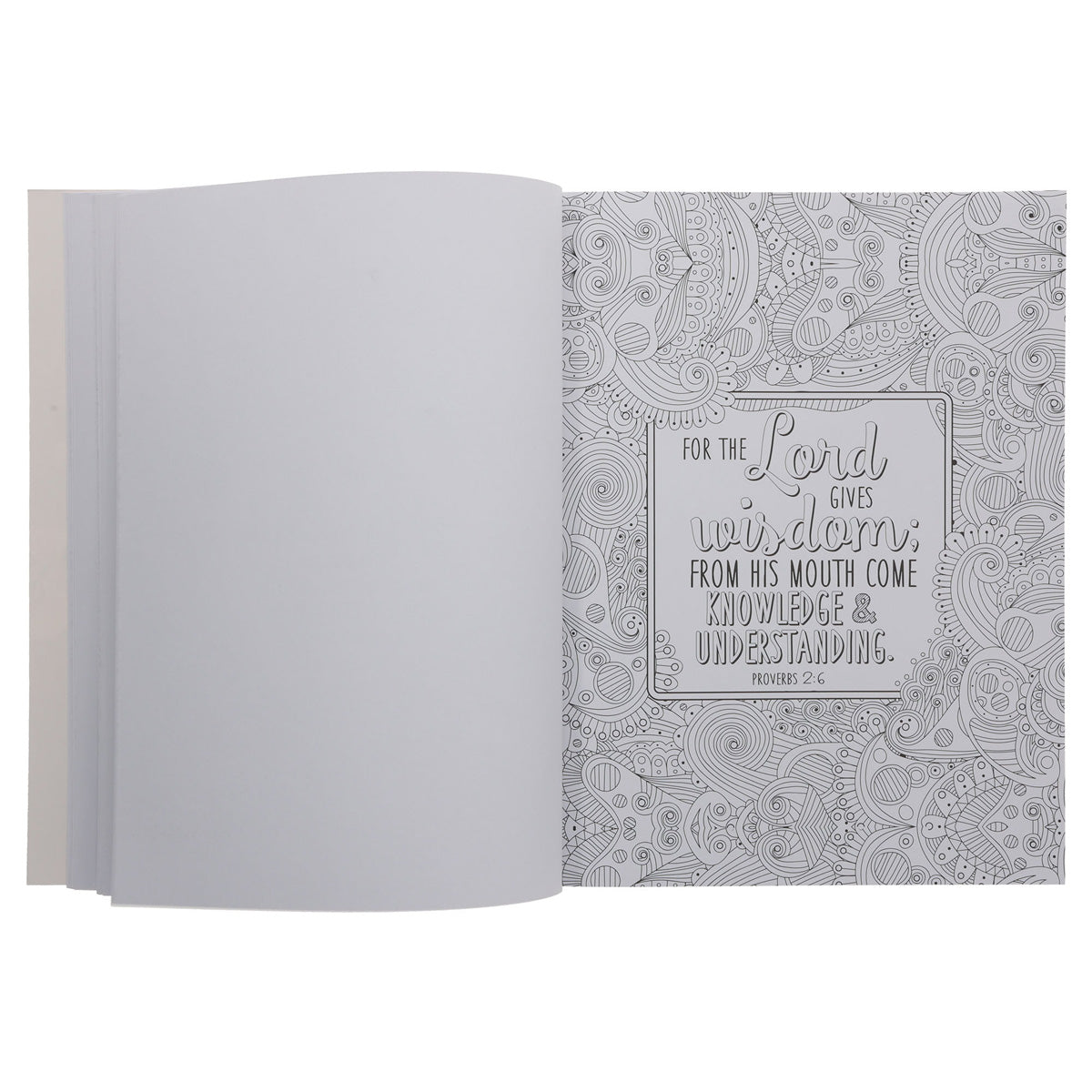 A Garland of Grace Floral Burgundy Coloring Book (Paperback)