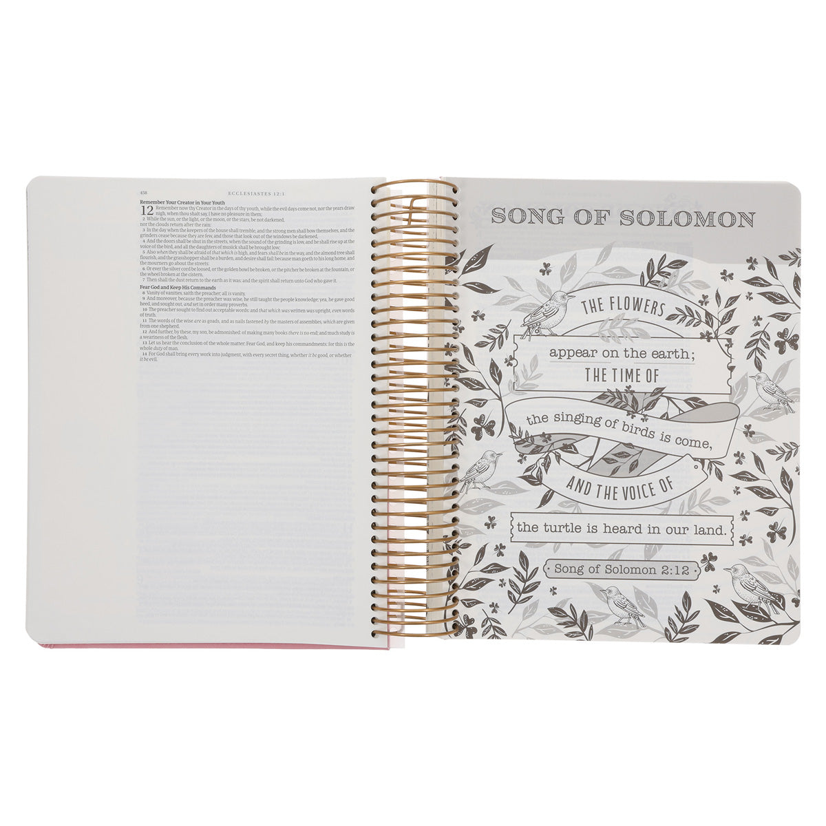KJV Pink Spiral-Bound Hardcover Faux Leather My Creative Bible Illustrators Edition