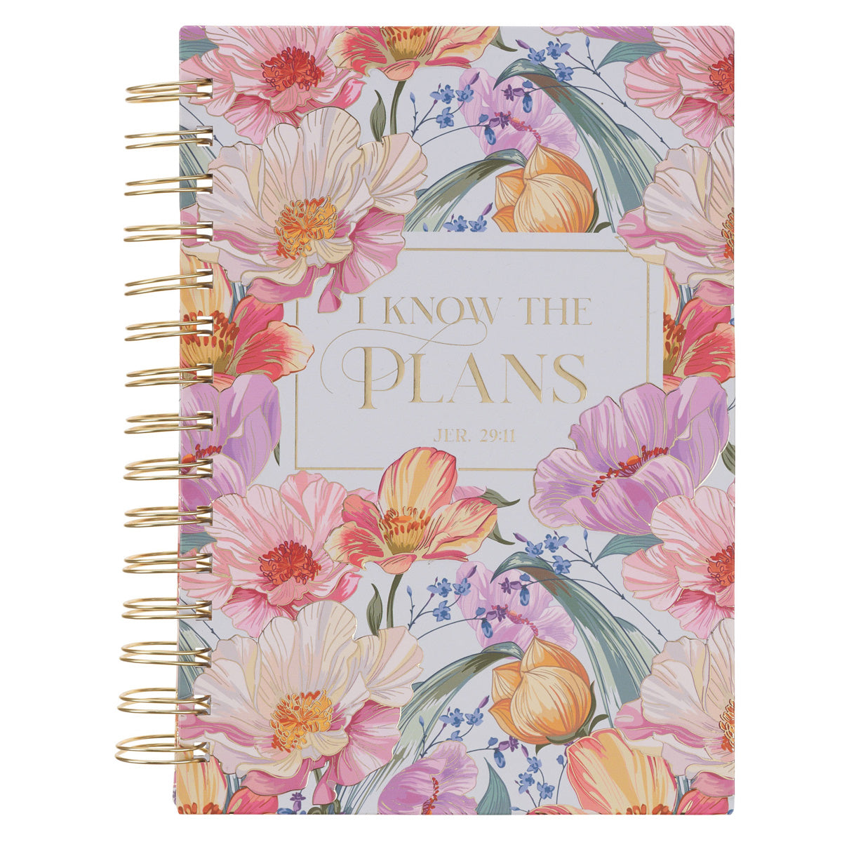 I Know the Plans Hardcover Wirebound Journal