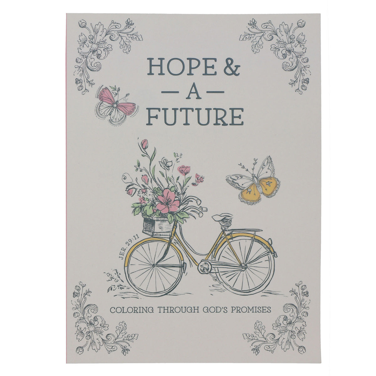 Hope and a Future Coloring Book (Paperback)
