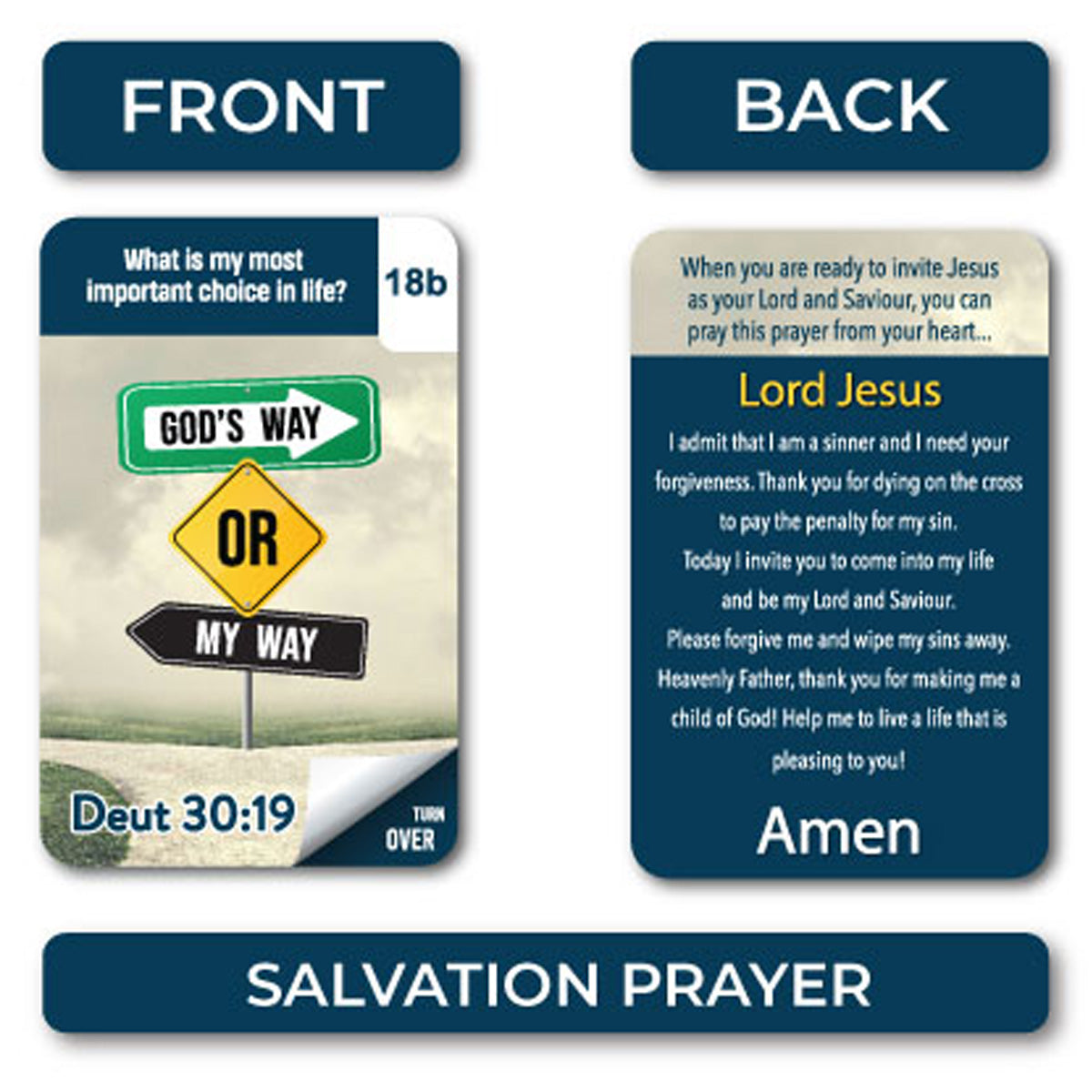 The Gospel In 33 Verses (Boxed Cards)